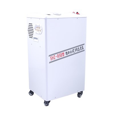 Bomba de vácuo circulante de água vertical